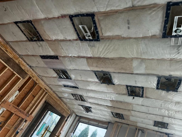 Batt Insulation In Delta